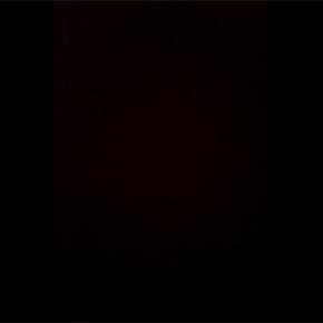 Negru [+55,00 lei]