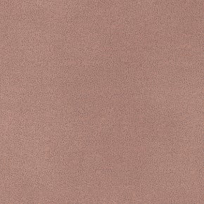 Microfibra Letto 61 [+300,00 lei]