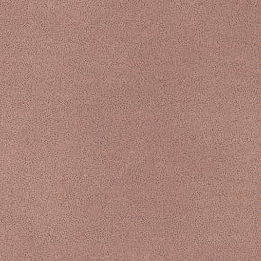 Microfibra Letto 61