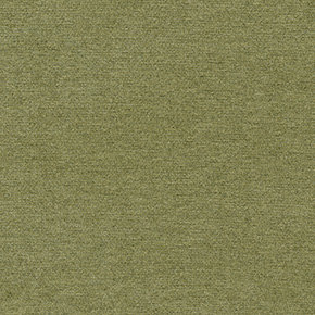 New York G006 Olive