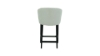 Poza cu Scaun Capriso Counter