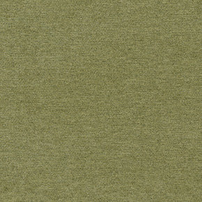 New York G006 Olive
