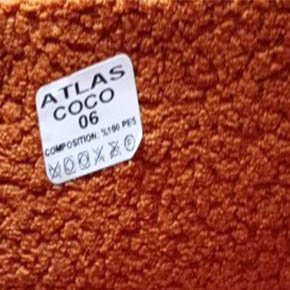 Coco 06