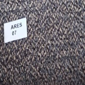 Ares 07
