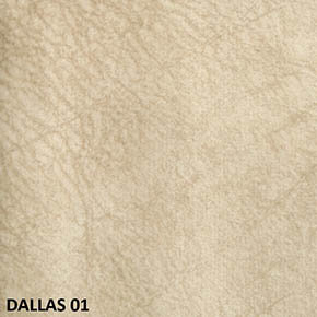 Dallas 01