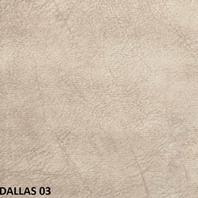 Dallas 03
