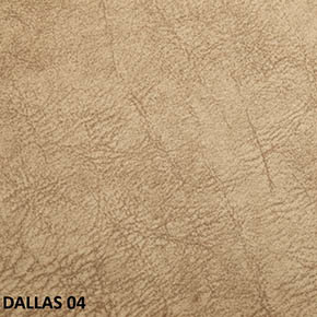 Dallas 04