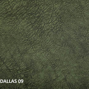 Dallas 09
