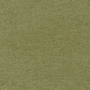 New York G006 Olive